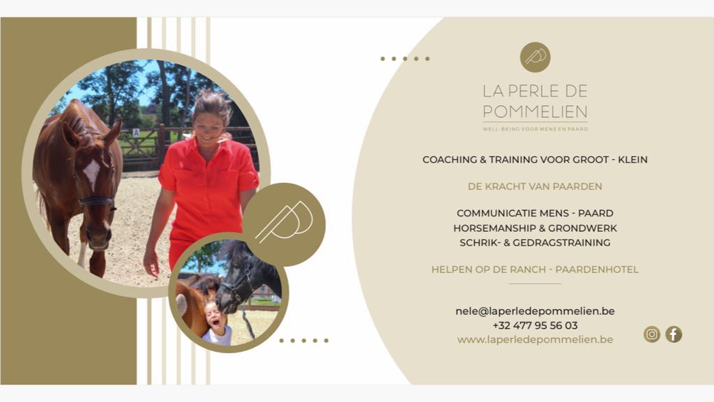 La Perle de Pommelien